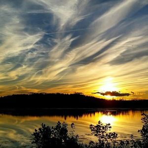 Meet your Posher, Gail